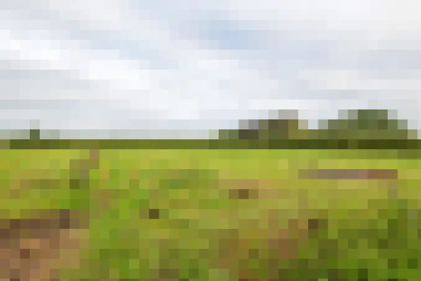 Wielseweg 29 Eck en Wiel thumbnail 23