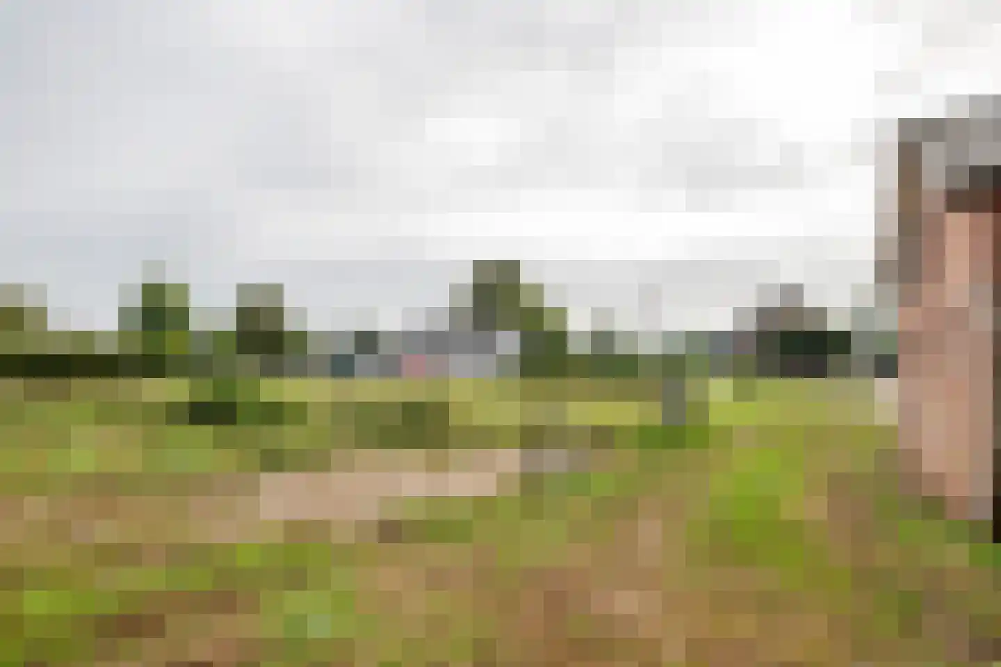 Wielseweg 29 Eck en Wiel thumbnail 24