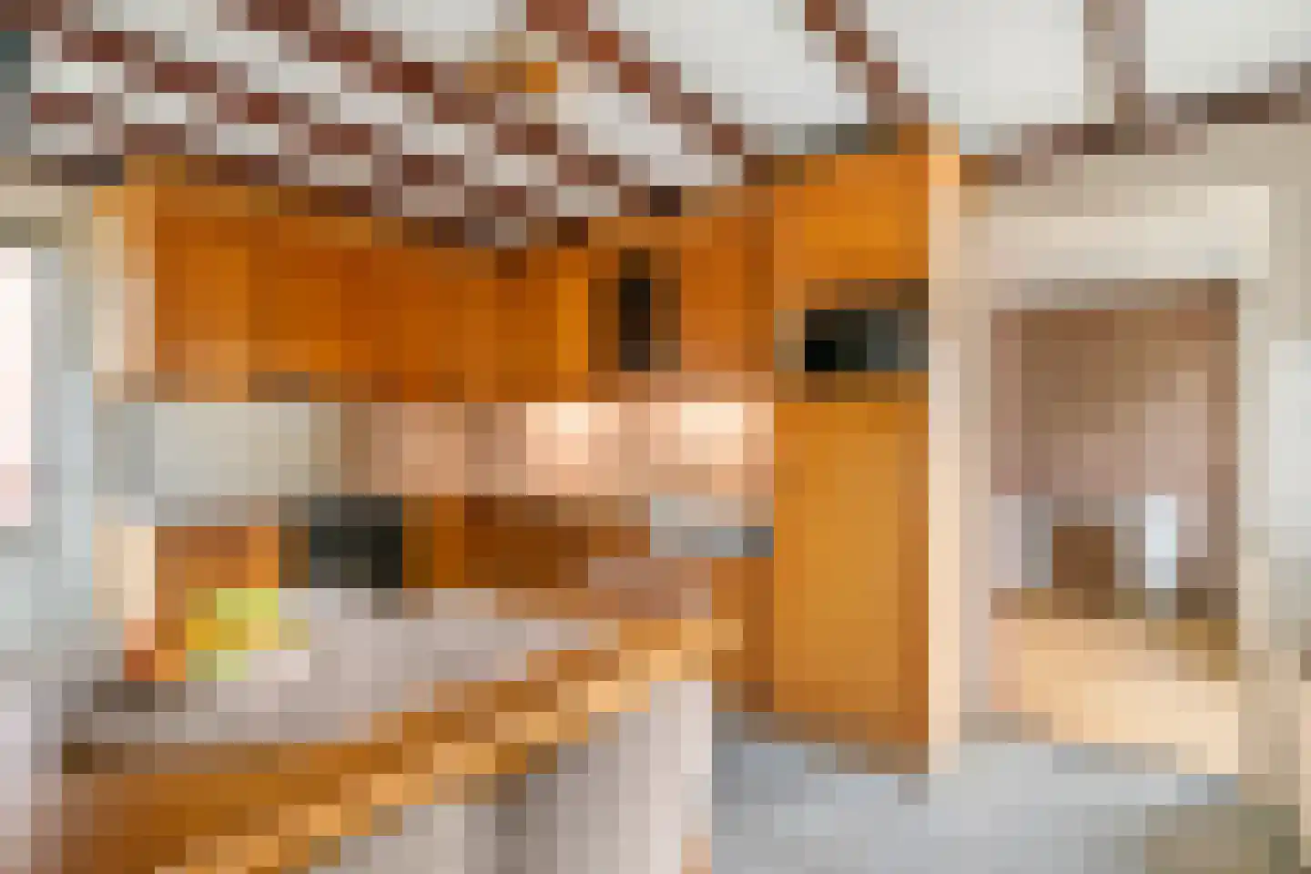 Wielseweg 29 Eck en Wiel thumbnail 30