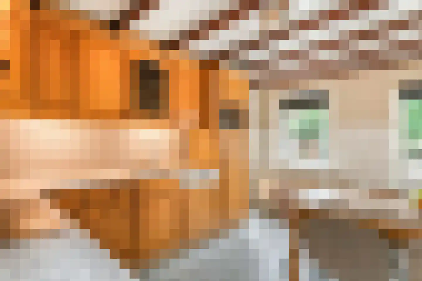 Wielseweg 29 Eck en Wiel thumbnail 32