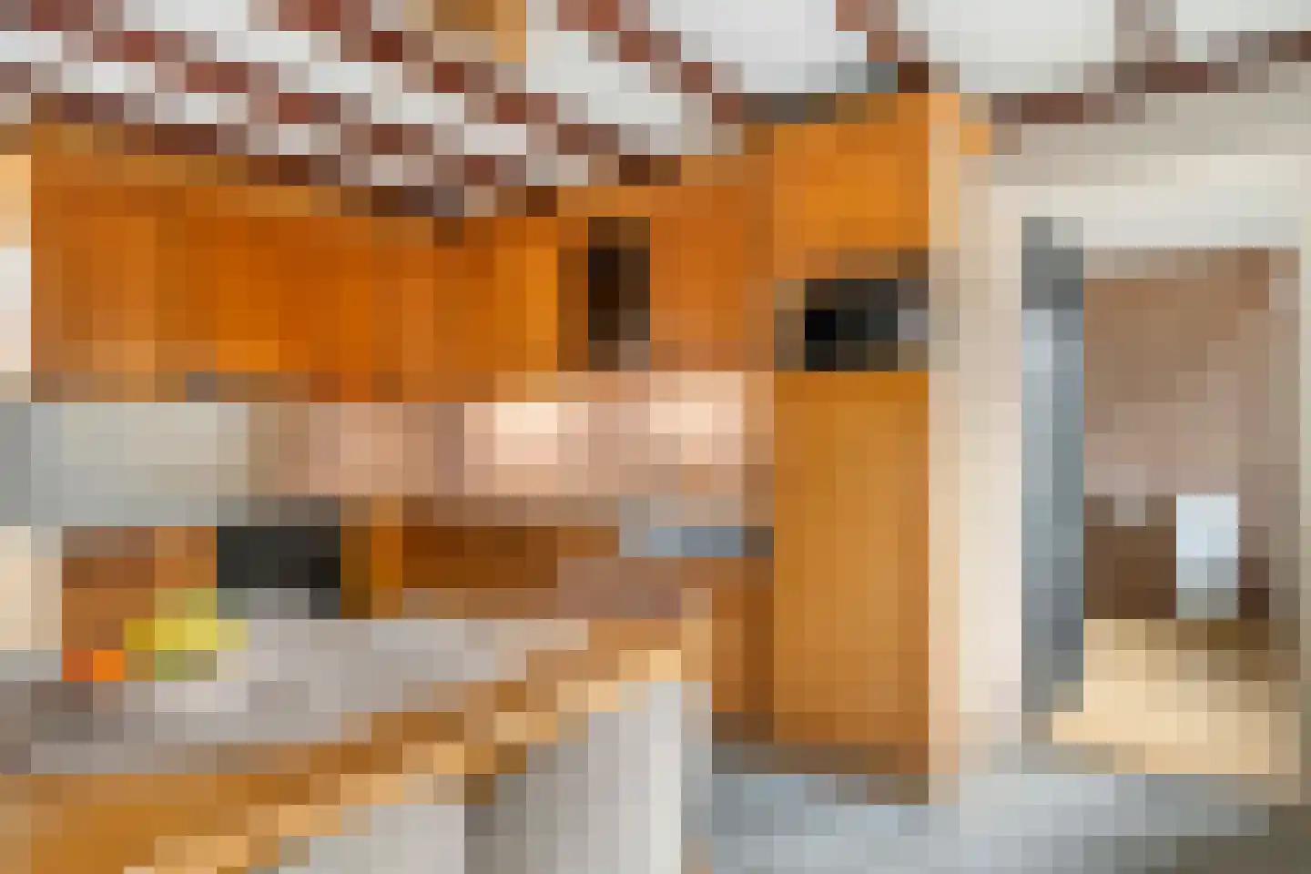 Wielseweg 29 Eck en Wiel thumbnail 33