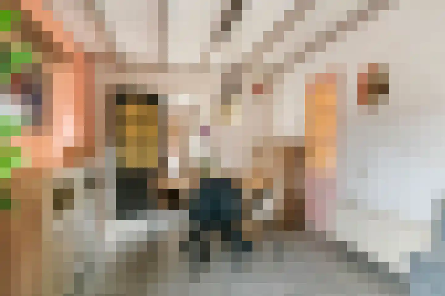 Wielseweg 29 Eck en Wiel thumbnail 35