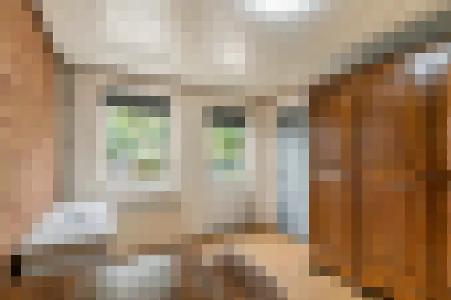 Wielseweg 29 Eck en Wiel thumbnail 37
