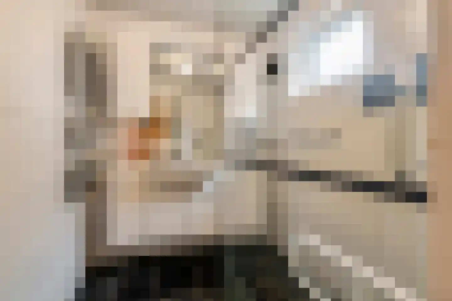 Wielseweg 29 Eck en Wiel thumbnail 39