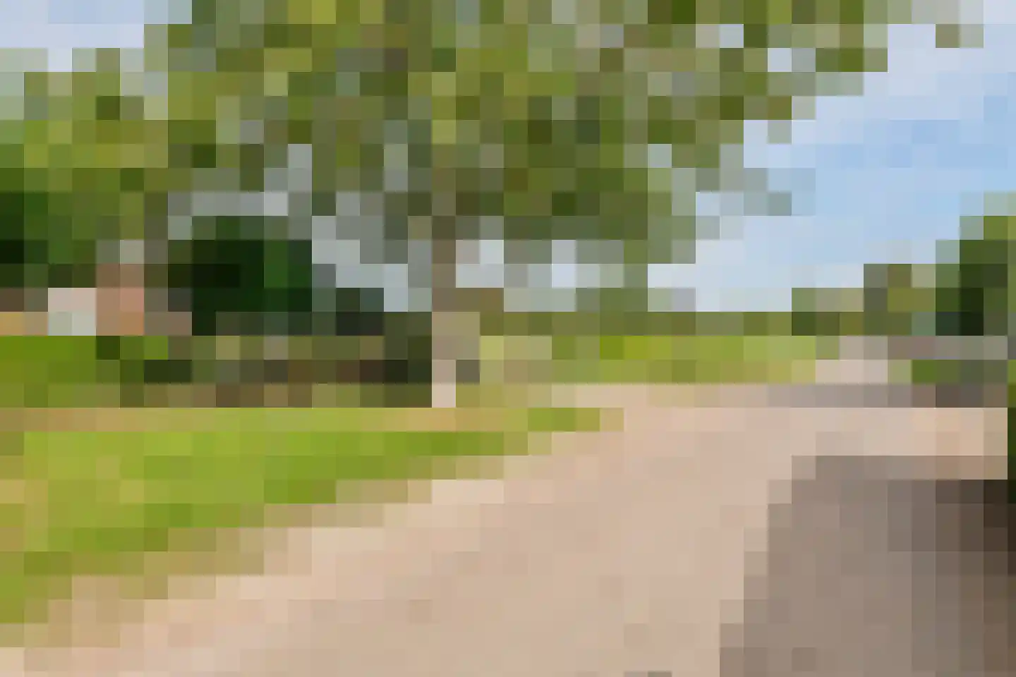 Wielseweg 29 Eck en Wiel thumbnail 6