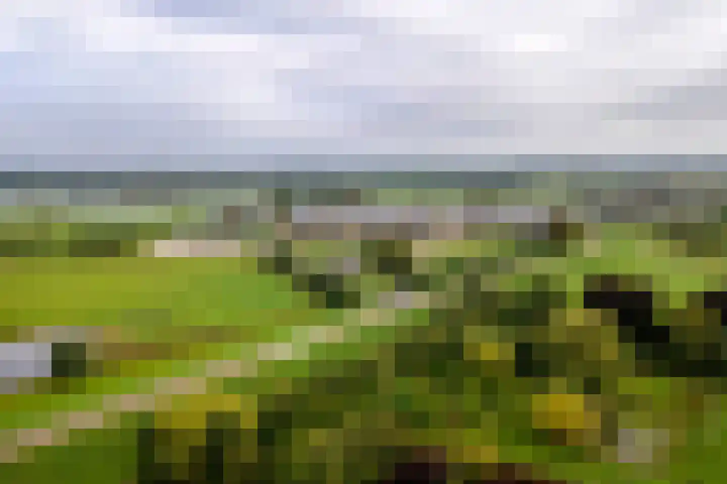 Wielseweg 29 Eck en Wiel thumbnail 62