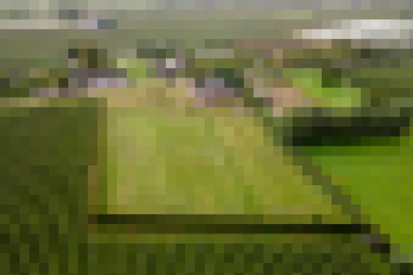 Wielseweg 29 Eck en Wiel thumbnail 64