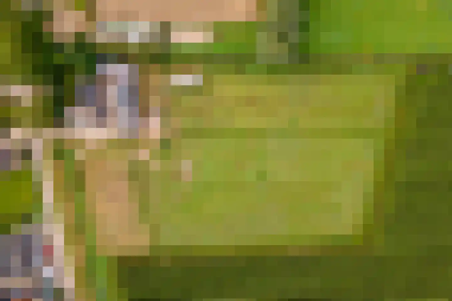 Wielseweg 29 Eck en Wiel thumbnail 65