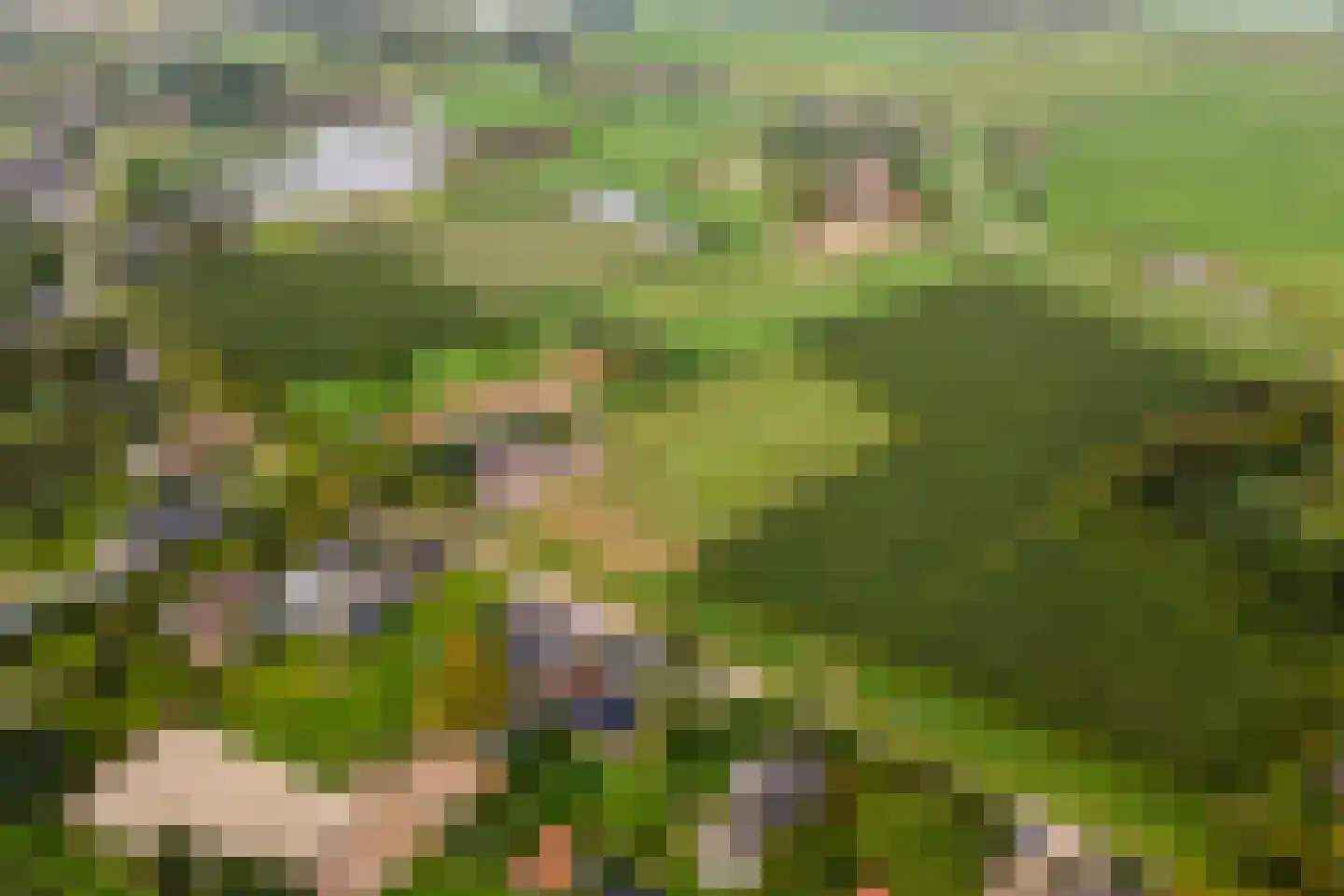Wielseweg 29 Eck en Wiel thumbnail 66