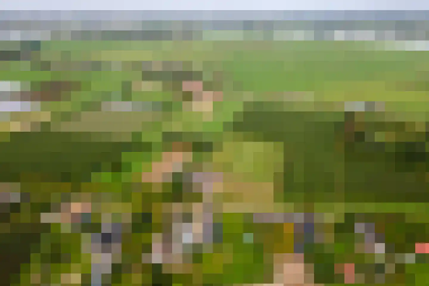 Wielseweg 29 Eck en Wiel thumbnail 67
