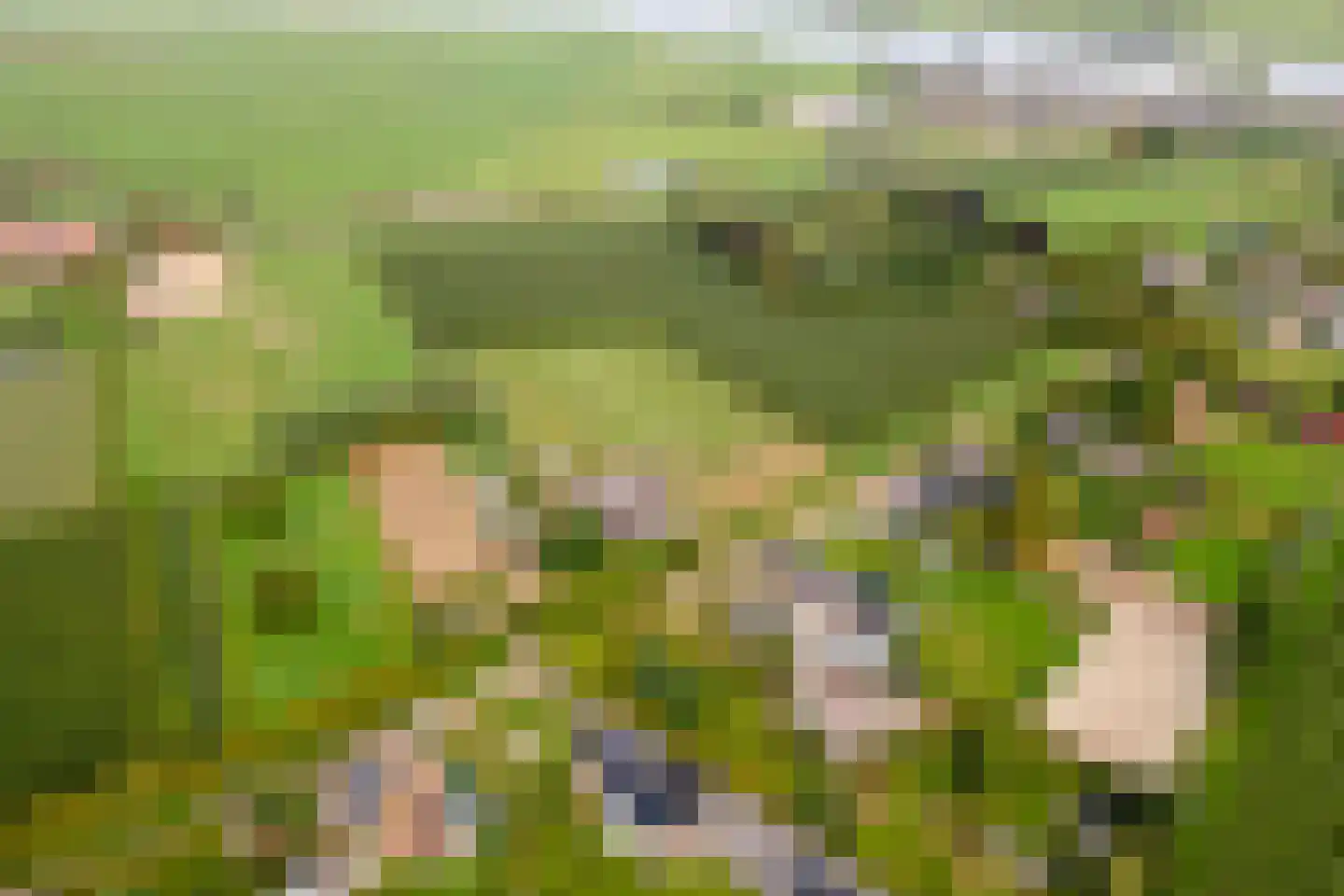 Wielseweg 29 Eck en Wiel thumbnail 68