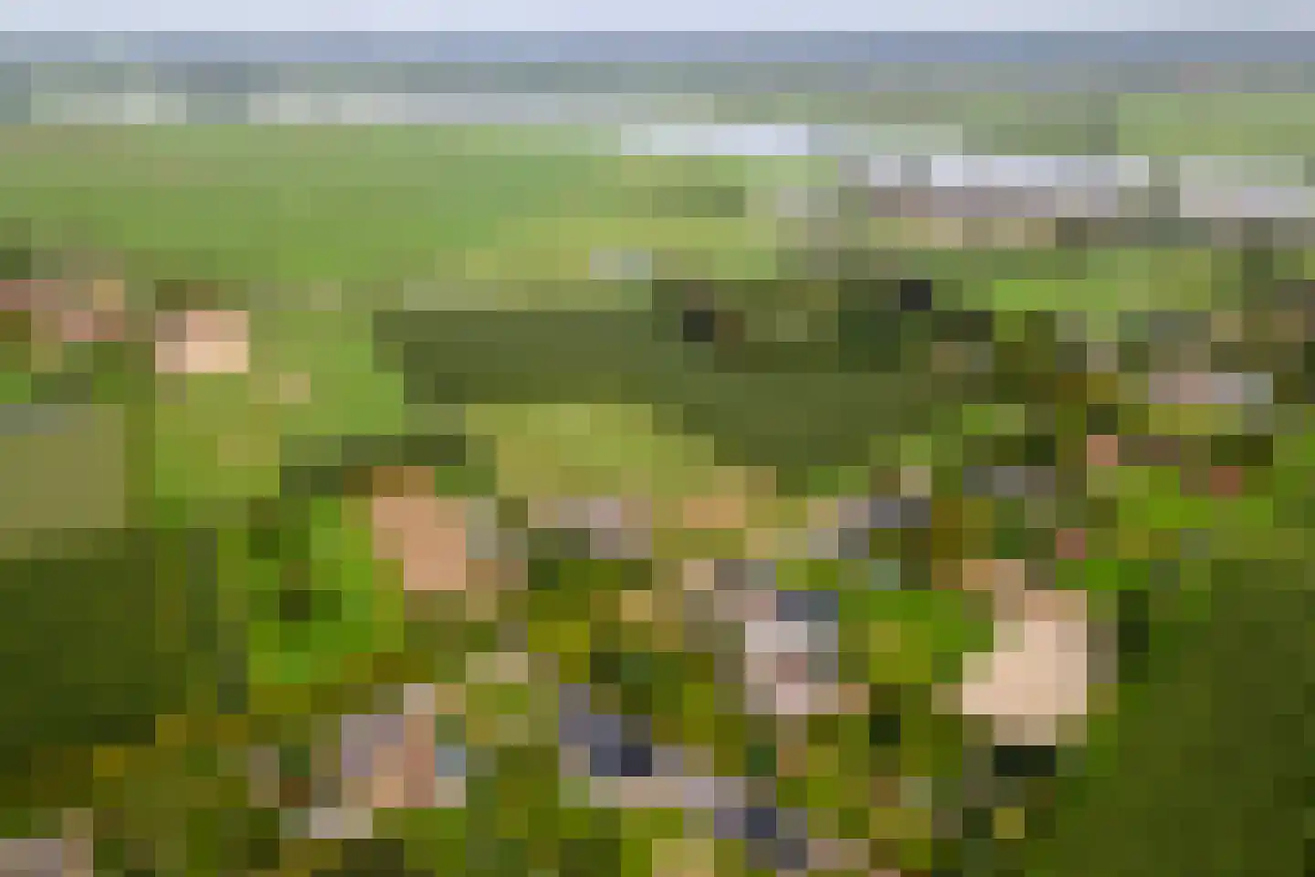 Wielseweg 29 Eck en Wiel thumbnail 69