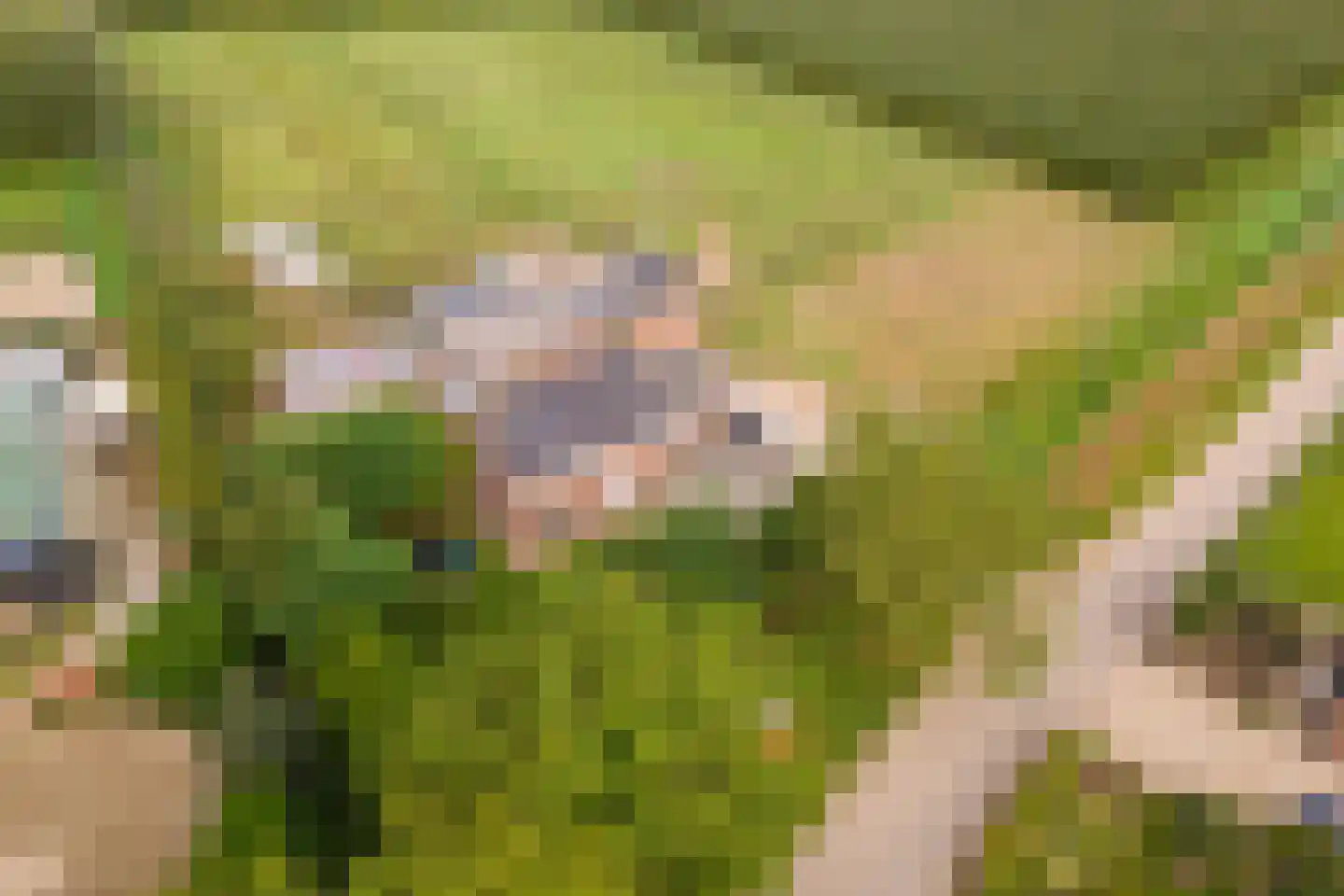 Wielseweg 29 Eck en Wiel thumbnail 71