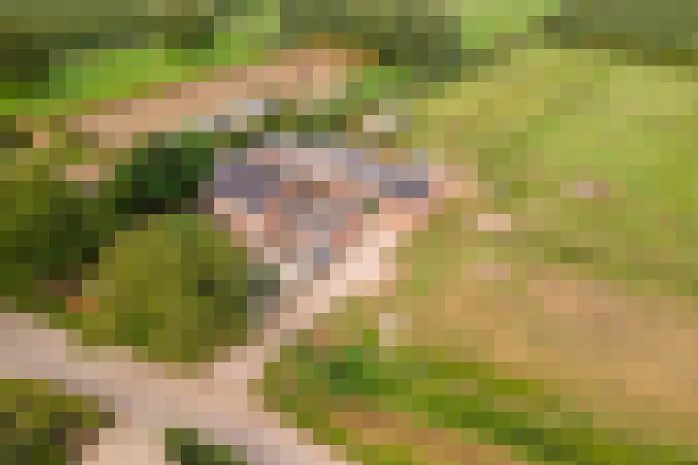 Wielseweg 29 Eck en Wiel thumbnail 72