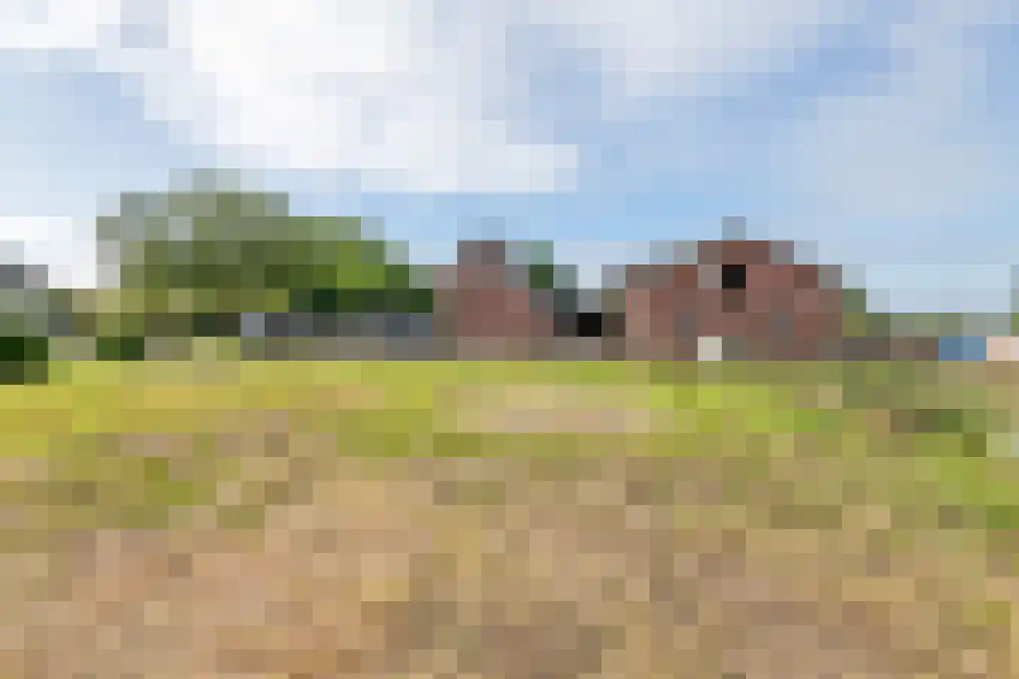 Wielseweg 29 Eck en Wiel thumbnail 8