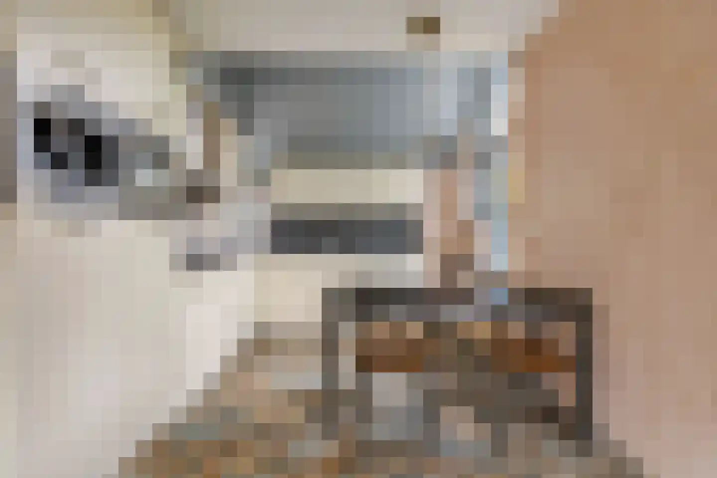 Wielsingel 23 Oud-Beijerland thumbnail 6
