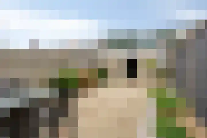 Wielsingel 44 Oud-Beijerland thumbnail 19
