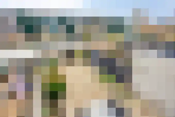 Wielsingel 44 Oud-Beijerland thumbnail 20