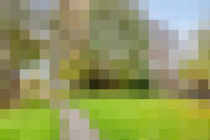 Wielsingel 44 Oud-Beijerland thumbnail 23