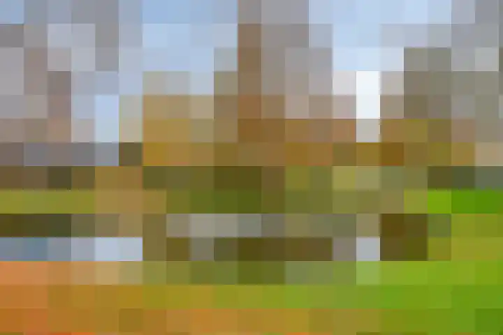 Wielsingel 44 Oud-Beijerland thumbnail 24