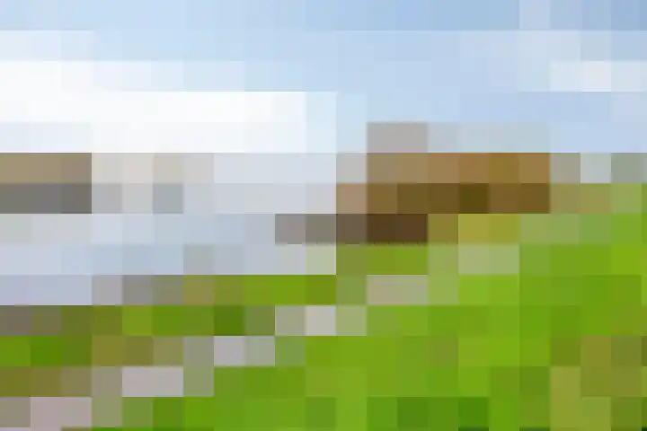 Wielsingel 44 Oud-Beijerland thumbnail 4