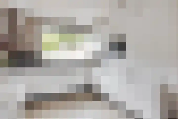 Wielsloot 3 Koedijk thumbnail 12