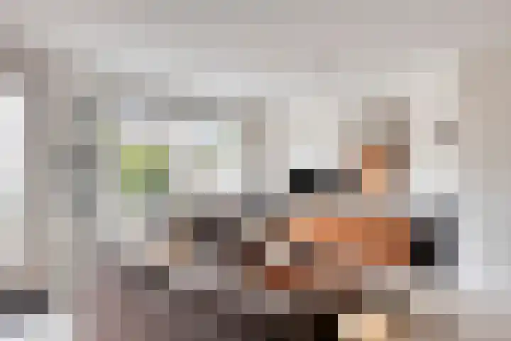 Wielsloot 3 Koedijk thumbnail 18