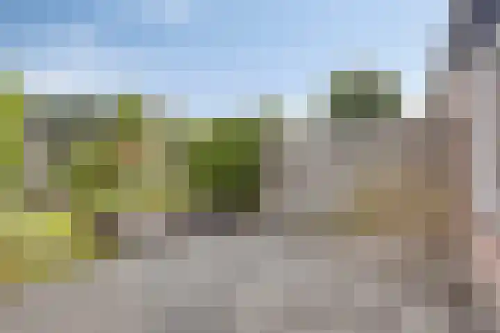 Wielsloot 3 Koedijk thumbnail 19