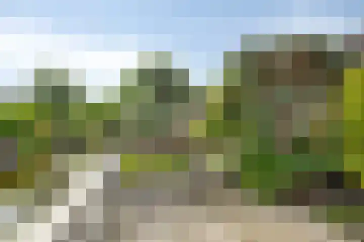 Wielsloot 3 Koedijk thumbnail 22