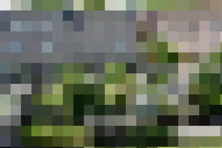 Wielsloot 3 Koedijk thumbnail 25