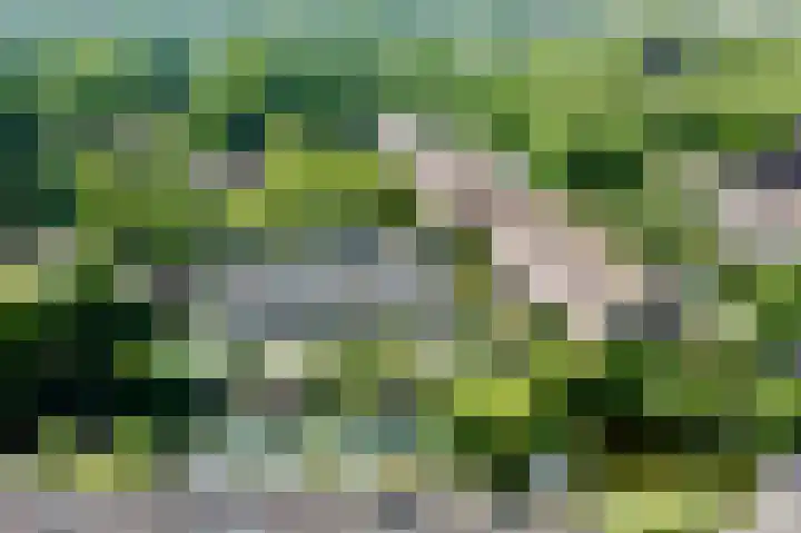 Wielsloot 3 Koedijk thumbnail 26