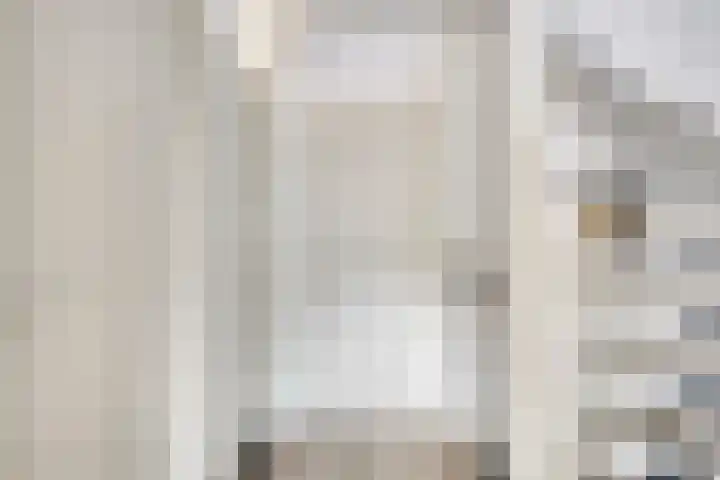 Wielsloot 3 Koedijk thumbnail 28