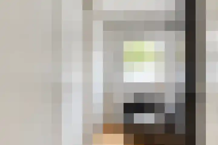 Wielsloot 3 Koedijk thumbnail 35