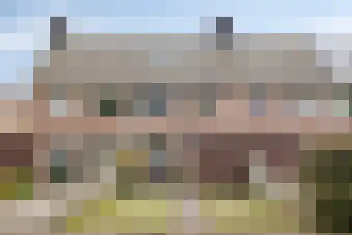 Wielsloot 3 Koedijk thumbnail 40