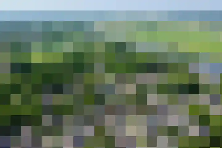 Wielsloot 3 Koedijk thumbnail 44
