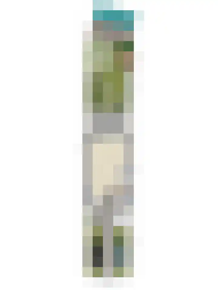Wielsloot 3 Koedijk thumbnail 46
