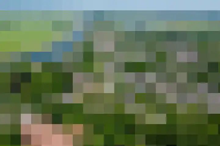 Wielsloot 3 Koedijk thumbnail 5