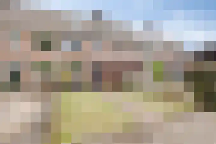 Wielsloot 3 Koedijk thumbnail 52