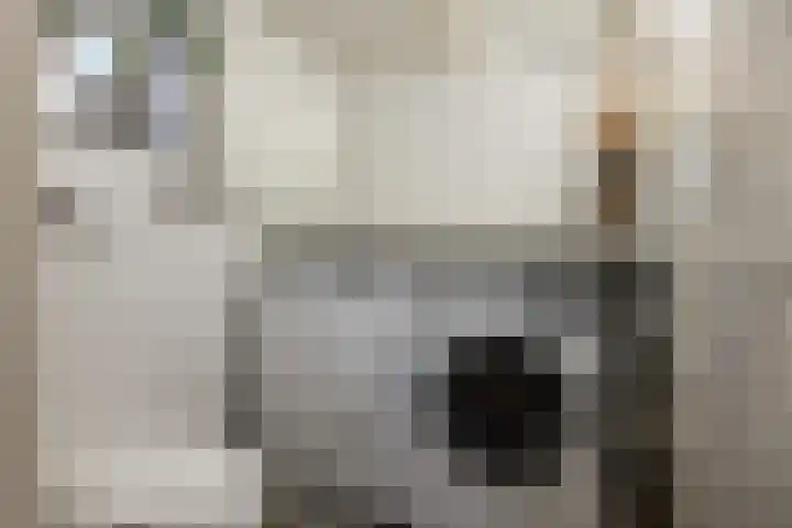 Wielstraat 30 Veen thumbnail 10