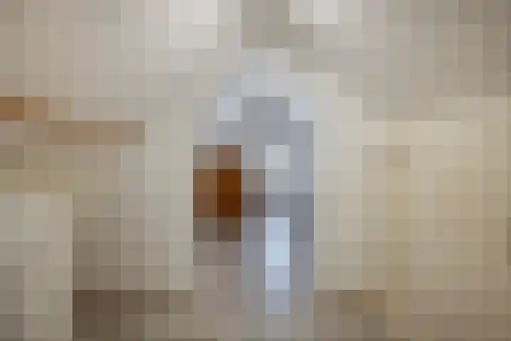Wielstraat 30 Veen thumbnail 16