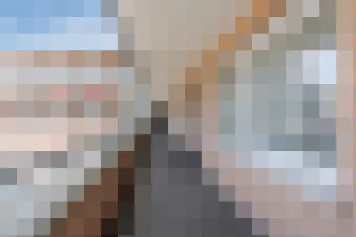 Wielstraat 40 Geldrop thumbnail 18