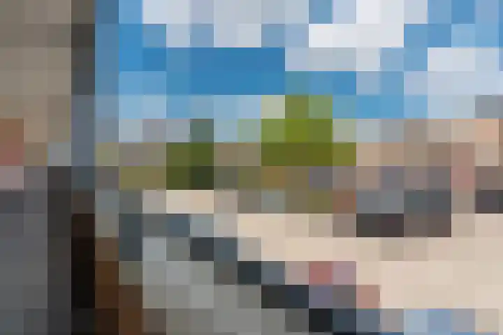 Wielstraat 40 Geldrop thumbnail 19