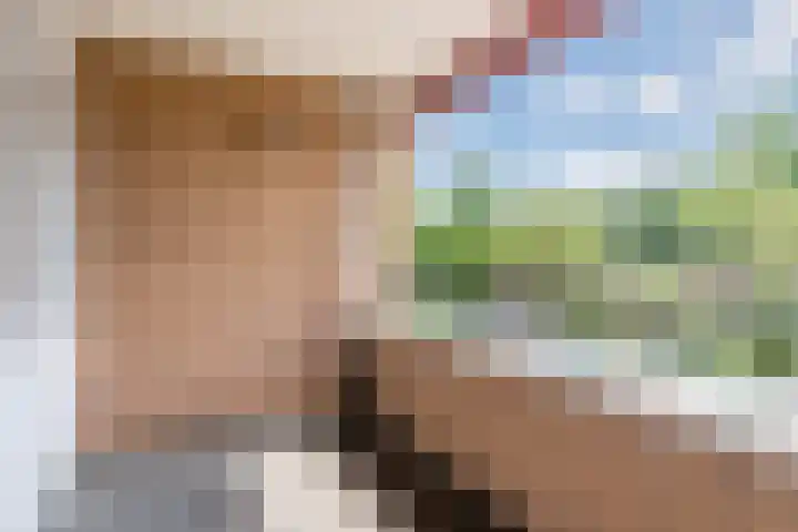 Wielstraat 40 Geldrop thumbnail 8