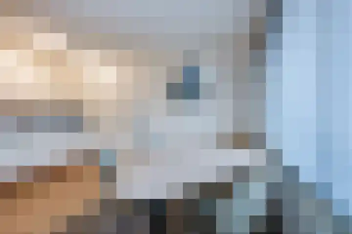 Wielstraat 48 Geldrop thumbnail 13