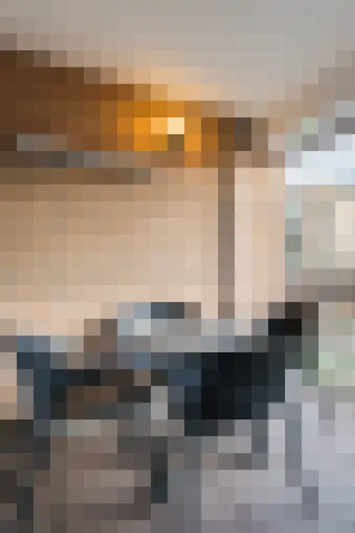 Wielstraat 48 Geldrop thumbnail 22
