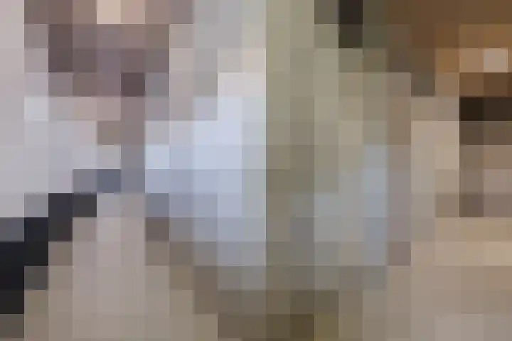 Wielstraat 48 Geldrop thumbnail 24