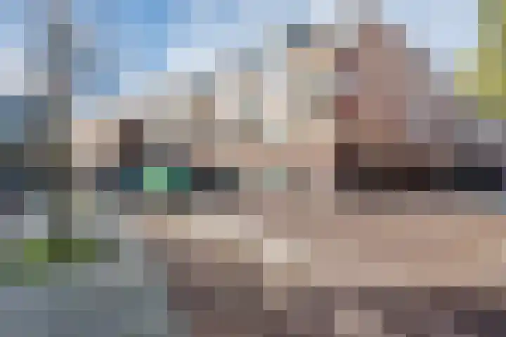 Wielstraat 48 Geldrop thumbnail 29