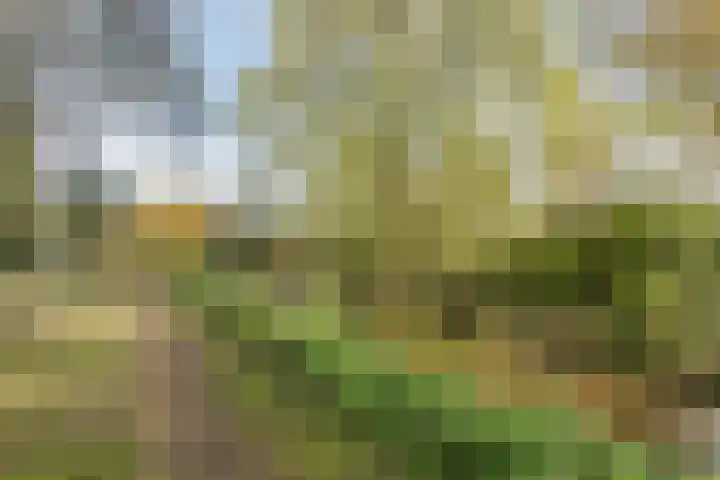 Wielstraat 48 Geldrop thumbnail 31