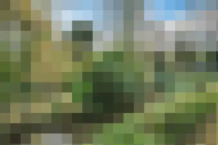 Wielstraat 48 Geldrop thumbnail 32