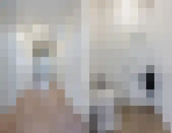 Wielstraat 48 Geldrop thumbnail 8